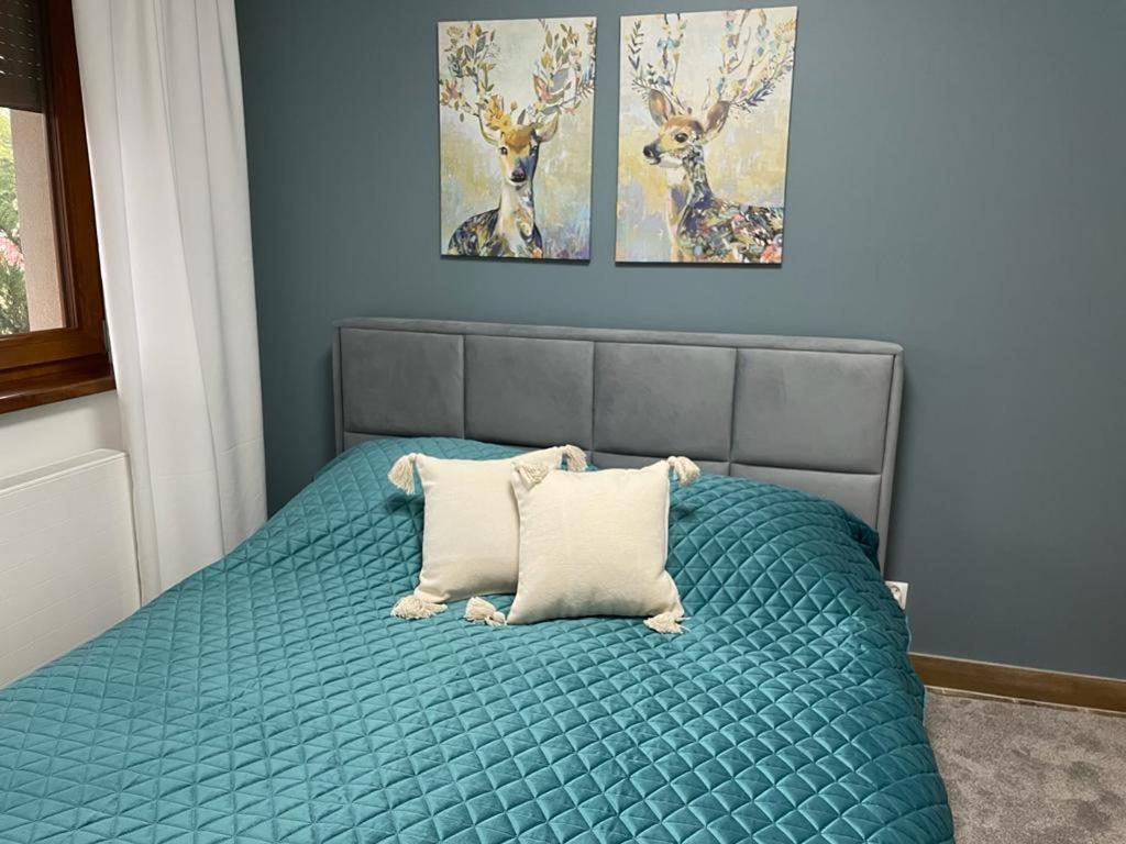 Apartament Sosnowy Zakatek Ґлівіце Екстер'єр фото