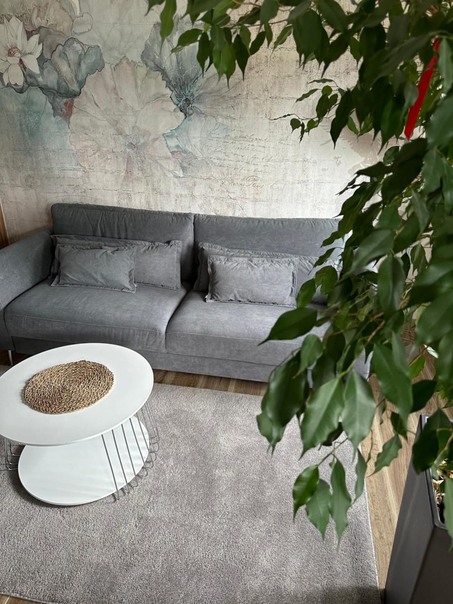 Apartament Sosnowy Zakatek Ґлівіце Екстер'єр фото